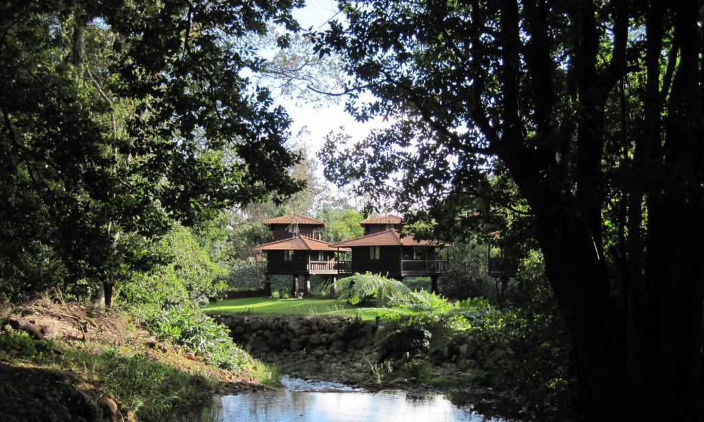 Quinta Das Eiras Santo Antonio da Serra Zewnętrze zdjęcie