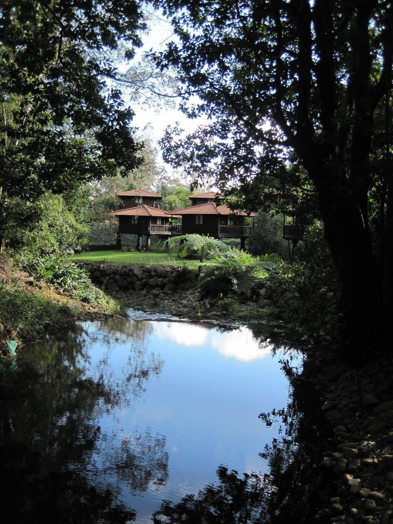 Quinta Das Eiras Santo Antonio da Serra Zewnętrze zdjęcie